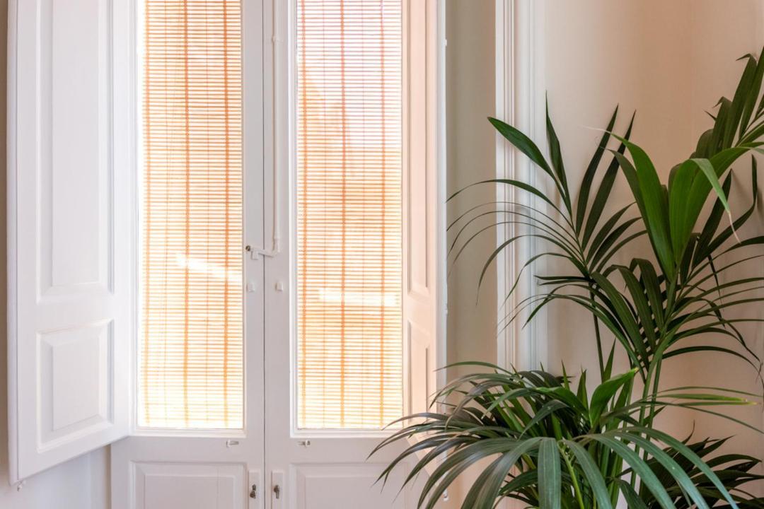 Finestre Sul Teatro - Catania - Parking Included Apartment Luaran gambar